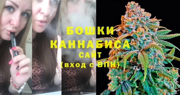 стаф Майский