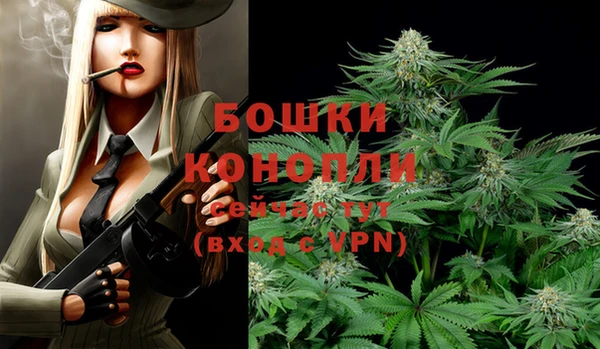 прущий лед Вяземский