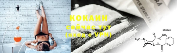 прущая мука Пересвет