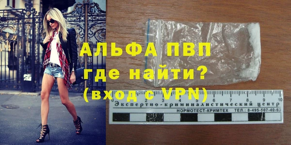 стаф Майский