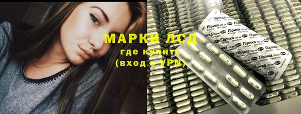 прущий лед Вяземский