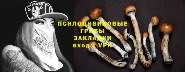 стаф Майский