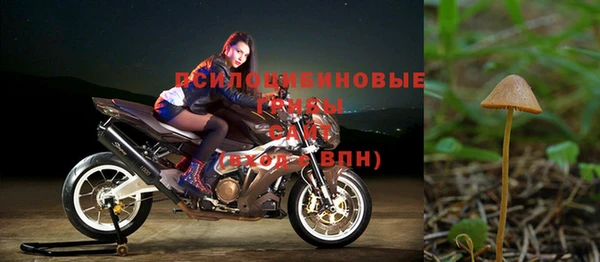 гашик Вязники