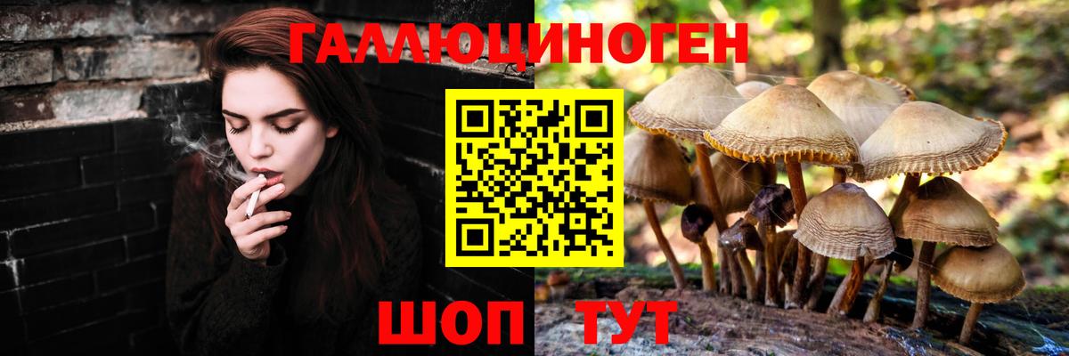 Псилоцибиновые грибы GOLDEN TEACHER  Вход с VPN  Дедовск  Галлюциногенные грибы ЛСД 
