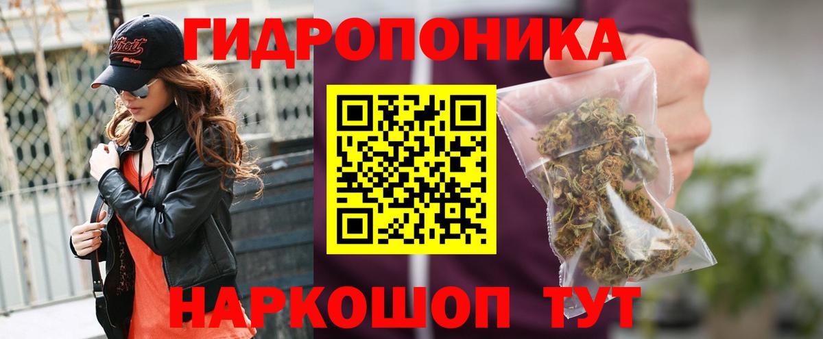 Конопля OG Kush Дедовск